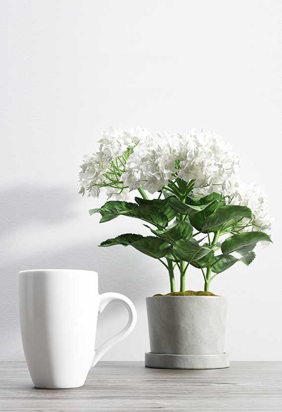 Planter 
